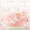 Orchid Divine