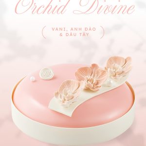 Orchid Divine