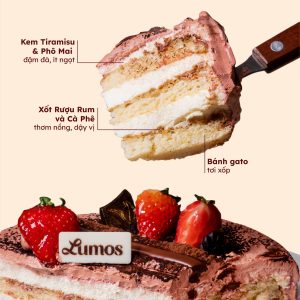 TIRAMISU Dotori