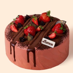 TIRAMISU Dotori